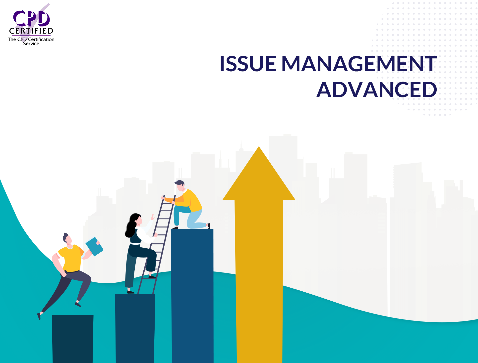 Issue Management Advanced